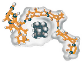 Two flaps of this 'softball' molecular cage open up to expose a
      molecule called adamantane (in center) to other incoming reactants.
