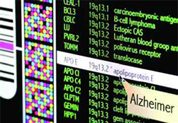 Imagem de um programa de computador com a molécula de Alzheimer em destaque.