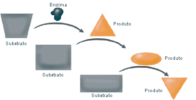 Illustration of how a substrate and enyzmes become products