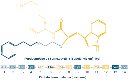 Illustration of Somatostatin Peptidomimetic and Somatostatin peptide