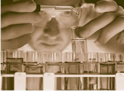 Photograph of a scientist working in a laboratory