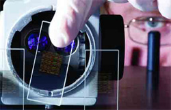 Fotografia de um cientista a estudar um chip genético.