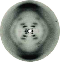 A foto de difração de raios-X original de Rosalind Franklin revelou a estrutura física do DNA.