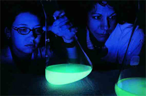 Bonnie Bassler (à direita) usa bactérias que brilham no escuro para estudar a genética dos biofilmes.