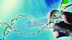 Foto de uma mão que segura uma seringa, tendo uma ilustração do DNA como fundo.