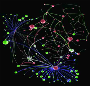 Andrey Rzhetsky usa o programa de computador GeneWays para localizar "nós" importantes de atividade (esferas grandes) dentro de enormes redes de genes. Esta rede em particular representa as vias de desenvolvimento embrionário numa mosca-da-fruta.