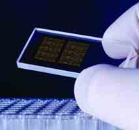 Fotografia de uma mão enluvada a segurar um chip de DNA.