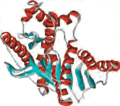 A representação em fita (ribbon diagram) dá destaque às regiões organizadas da proteína (vermelho e azul claro).